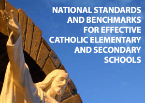 The CatholicFIT Program is designed using the National Standards and Benchmarks for Effective Catholic Elementary and Secondary Schools