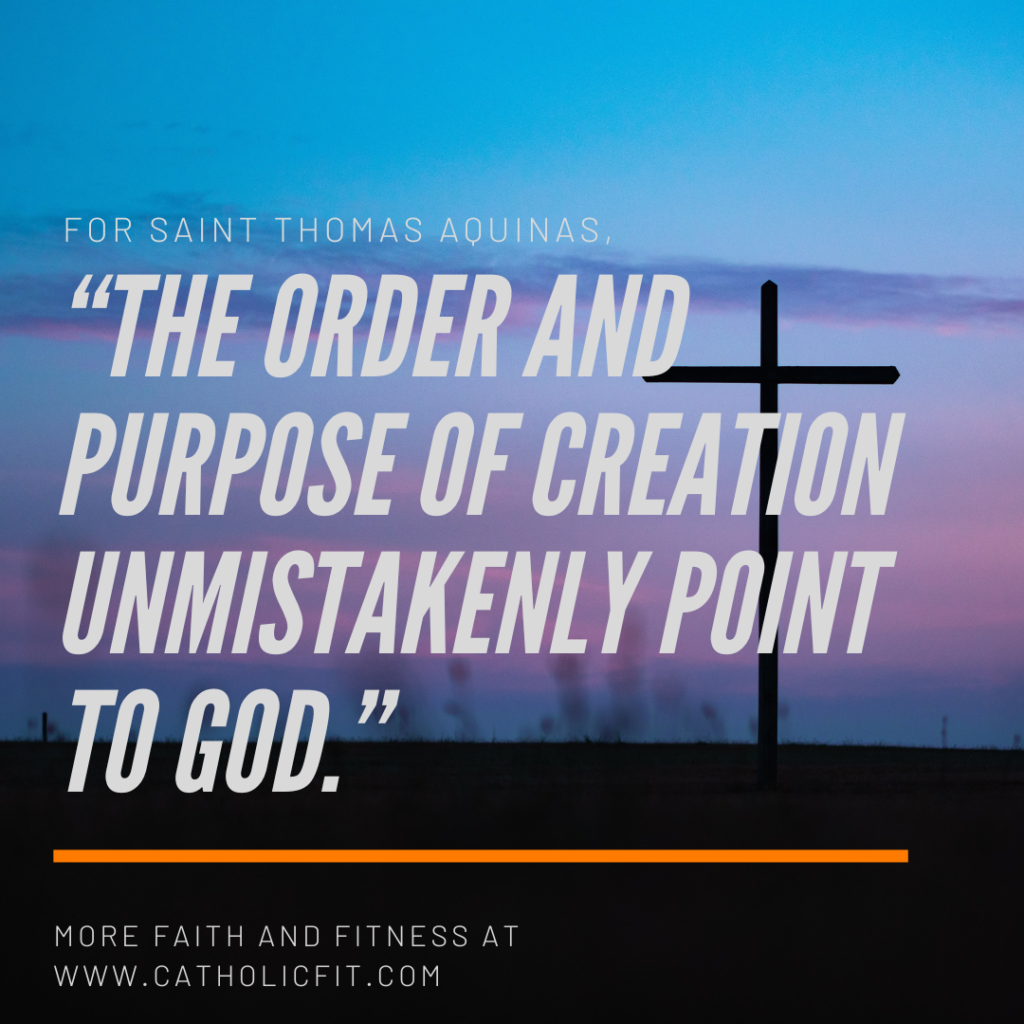 The Theology of a Fit Body with Saint Thomas Aquinas: What Do You Value?
