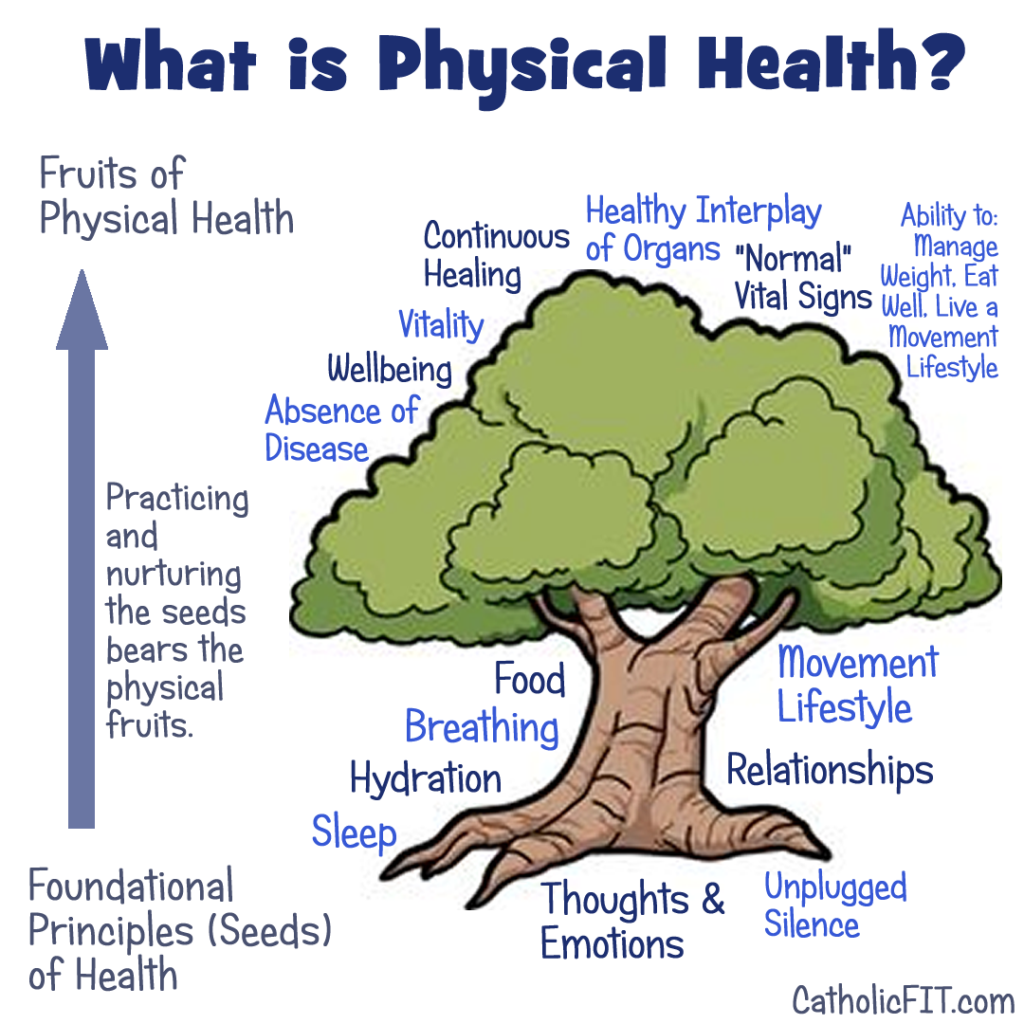 CatholicFIT: What is Health?